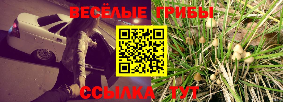 Псилоцибиновые грибы прущие грибы  наркотики  Лабытнанги  Вход с VPN 