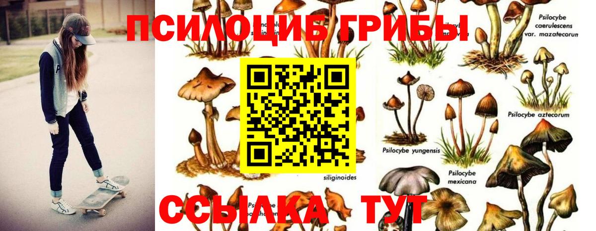 Галлюциногенные грибы GOLDEN TEACHER Лабытнанги