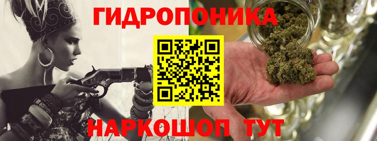 Конопля гибрид Лабытнанги